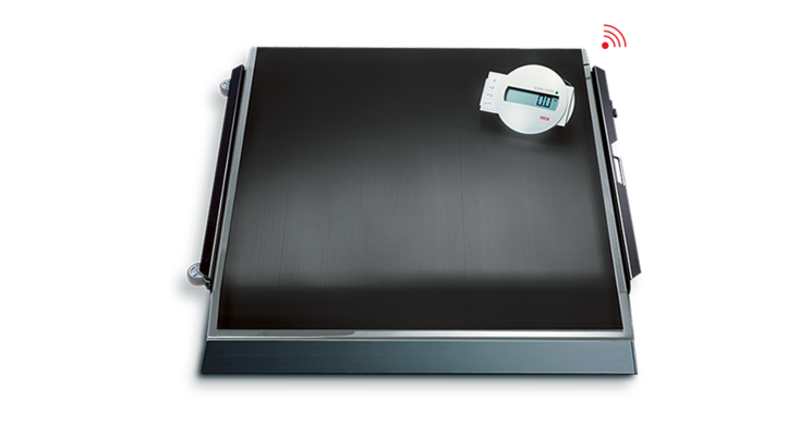 seca 675 - EMR-validated platform scale with remote display #0