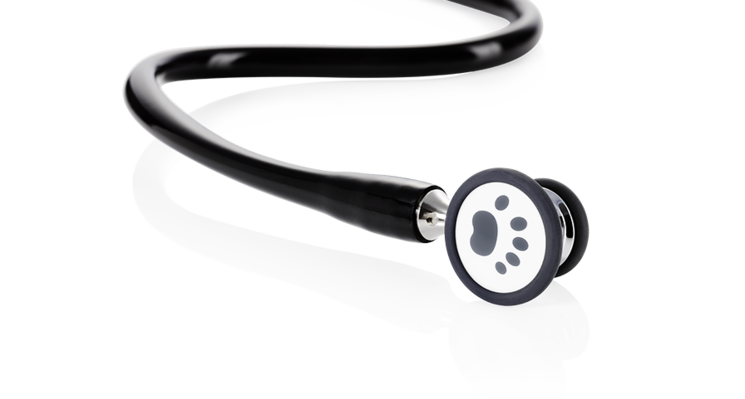 seca s32 - Stethoscope with two standard membrane side of different sizes for younger patients #1