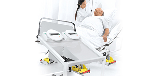 Bed and dialysis scale